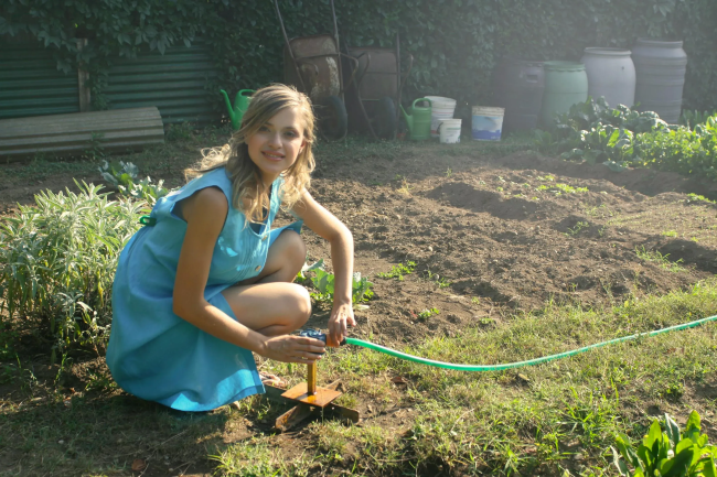 Compost Testing