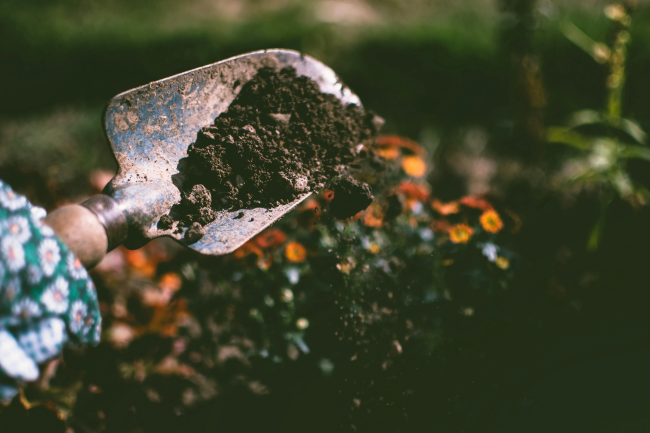 Soil health and testing