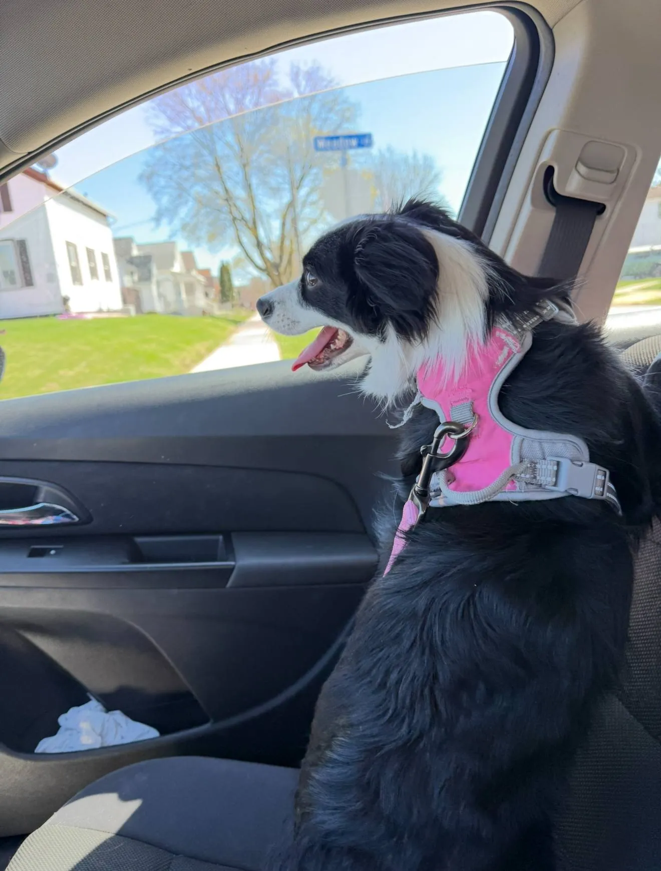 First Car Ride