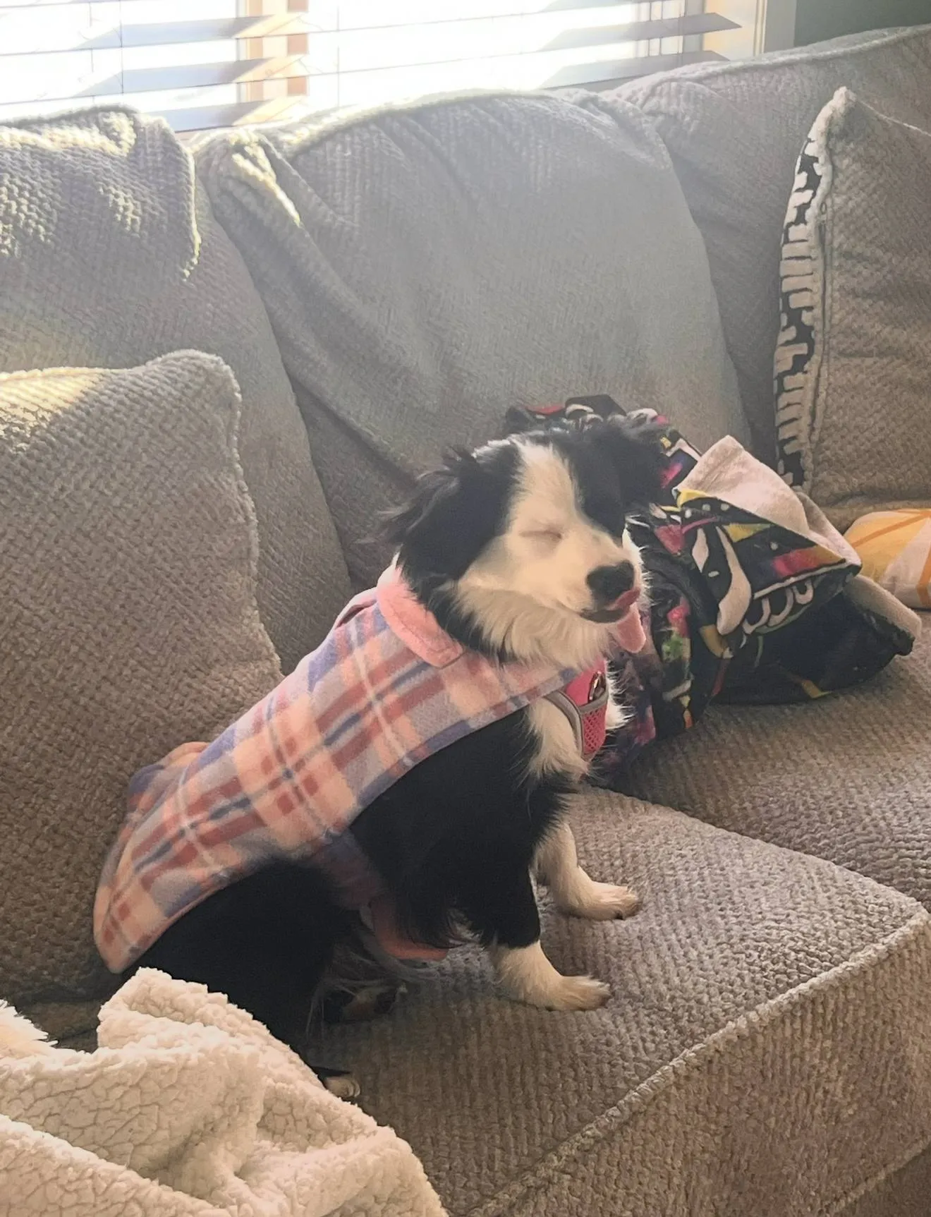 First Sweater