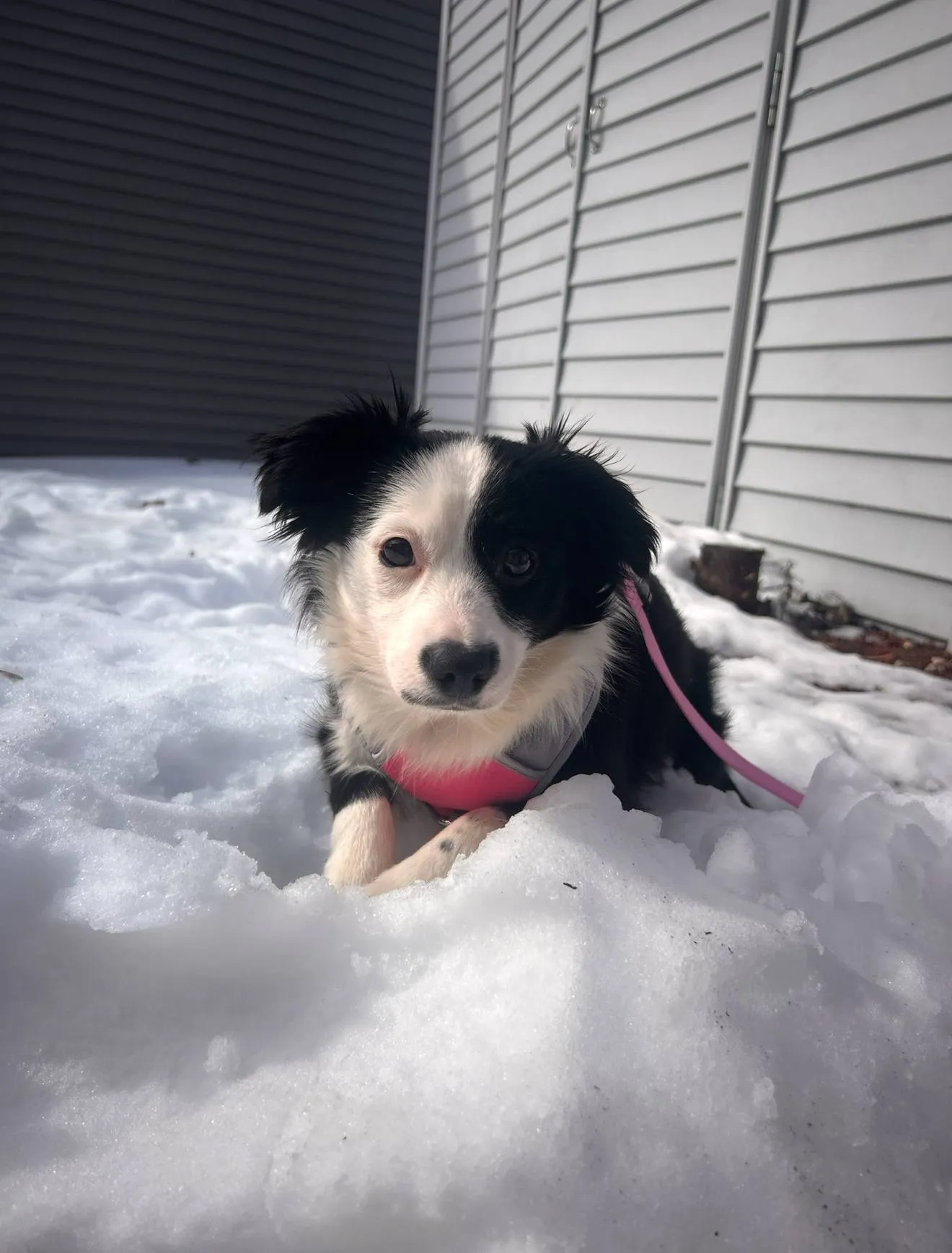 First Snow