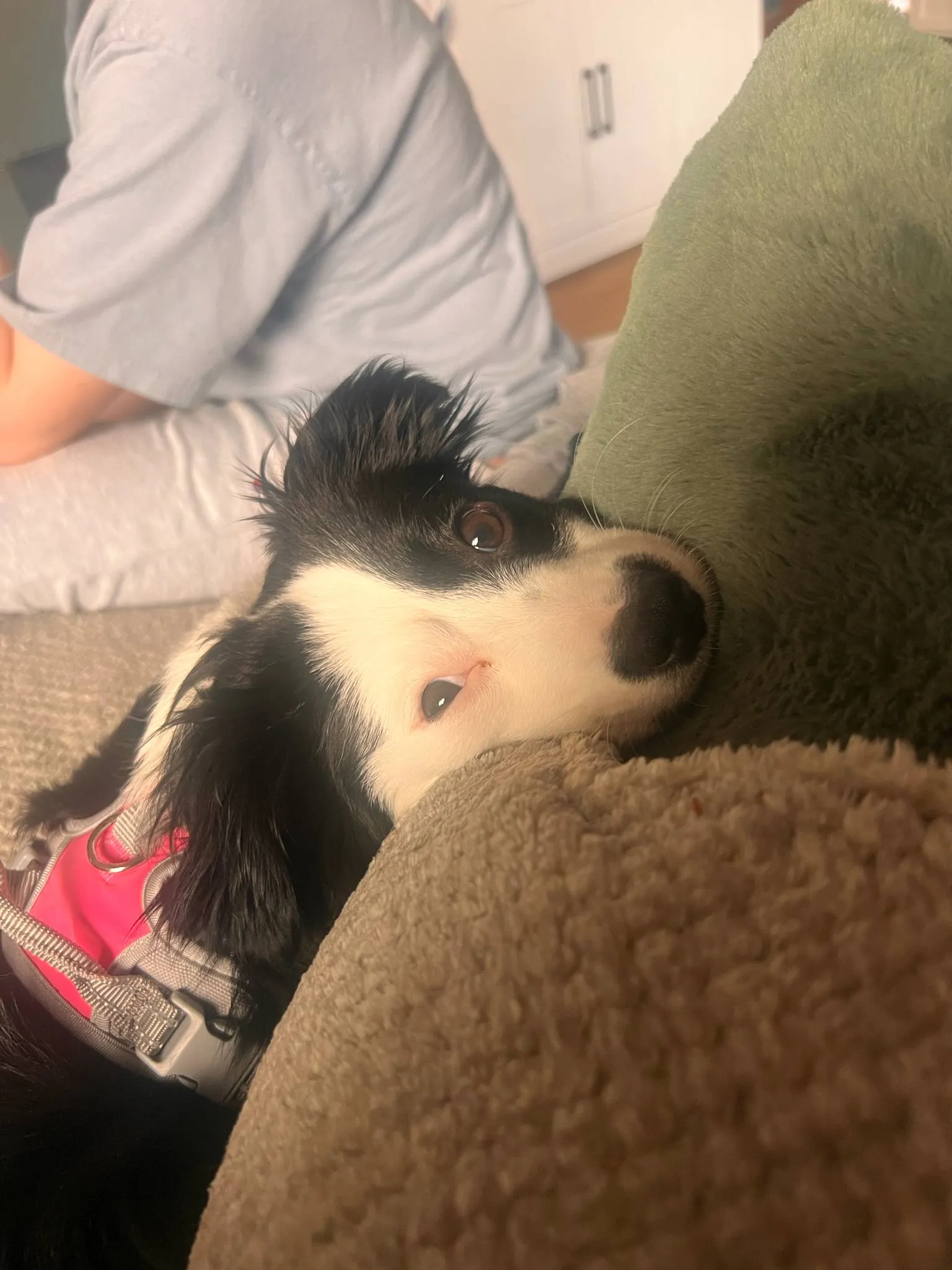 Playing with my new toy