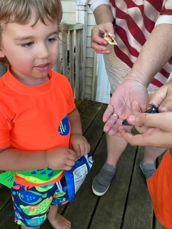 Holding a Newt