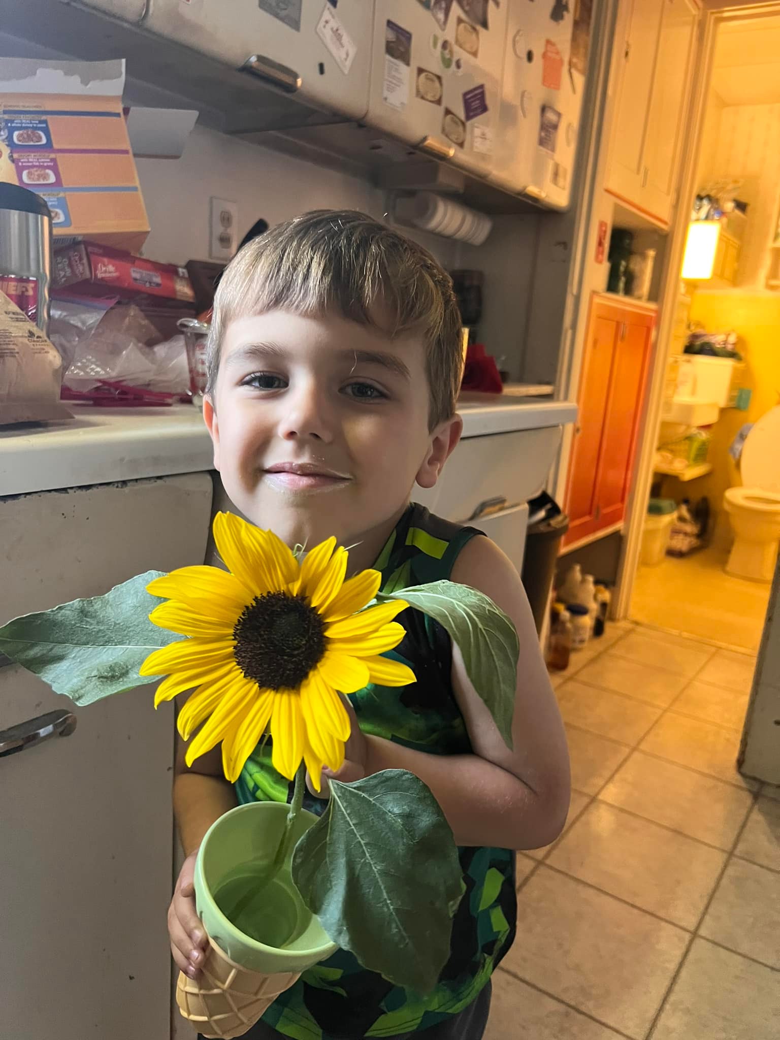 Sunflower Photo