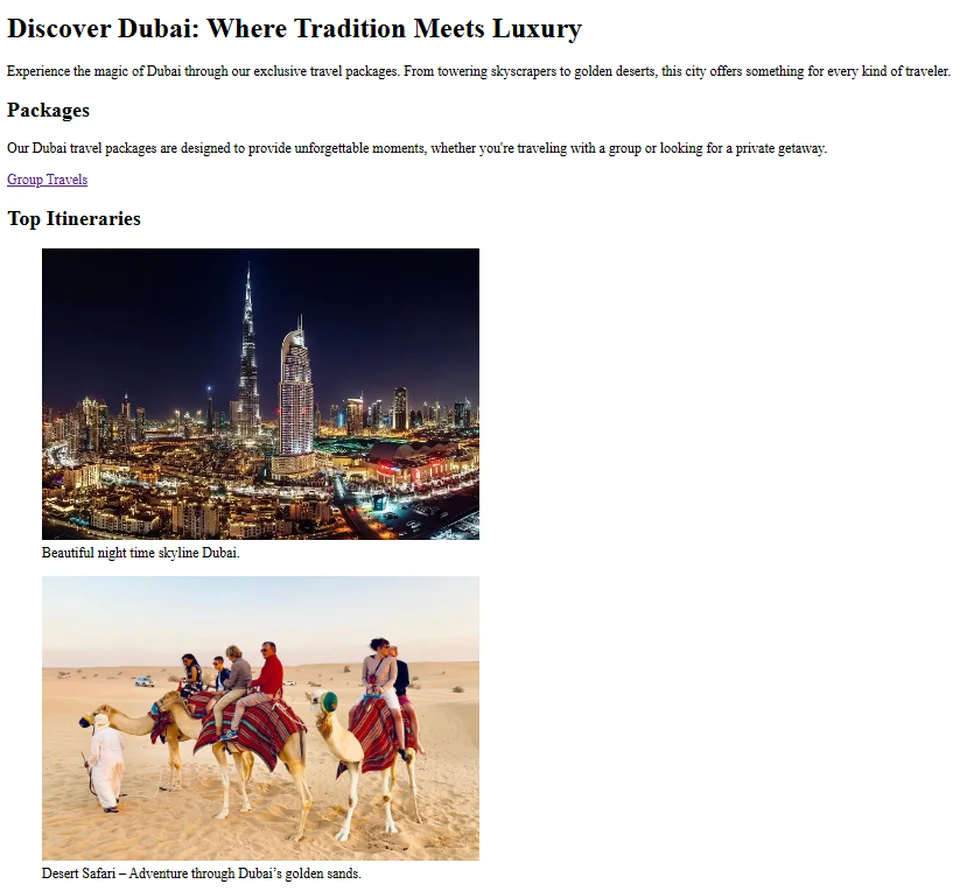 Preview of Travel Agency project
